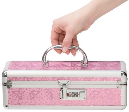 Кейс для хранения секс-игрушек BMS Factory Case Pink SO5563 фото