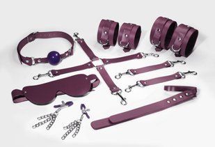 Набір Feral Feelings BDSM Kit 7 Burgundy SO8278 фото