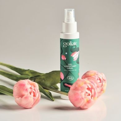Анальный лубрикант Goliate Gel Lubrifiant Anal 100 мл SX3013 фото