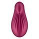 Вибратор Satisfyer Dipping Delight Berry SO6990 фото 5
