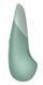 Вибратор Womanizer Vibe Sage SX2146 фото 3
