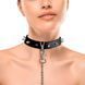 Нашийник з шипами та повідцем Art of Sex SO5154 фото 1