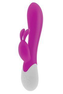 Вибратор-кролик S Pleasures Premium Corabi Rabbit розовый SX1617 фото