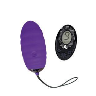 Виброяйцо Adrien Lastic Ocean Breeze Purple с пультом ДУ AD40743 фото