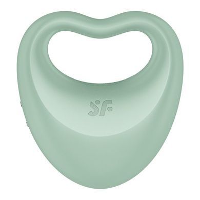 Вібратор та ерекційне кільце Satisfyer Perfect Pair 3 SO8409 фото