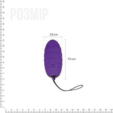 Виброяйцо Adrien Lastic Ocean Breeze Purple с пультом ДУ AD40743 фото