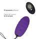 Виброяйцо Adrien Lastic Ocean Breeze Purple с пультом ДУ AD40743 фото 3