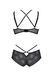 Комплект Passion DROSERA BIKINI black, L/XL, бюстгальтер и трусики-кюлоты