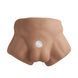 Полуторс с фаллоимитатором SilexD Apollo S Male Torso Caramel SX0813 фото 2