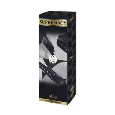 Фиксаторы для ног Alive SUPREMACY SO6737 фото