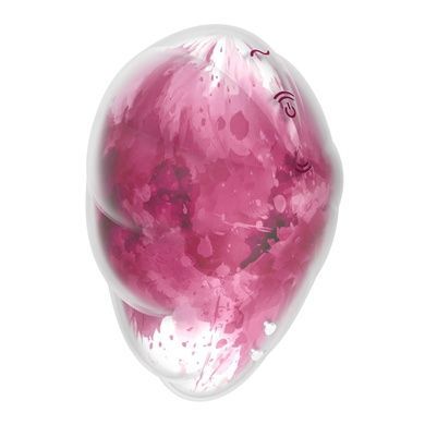 Вакуумный стимулятор Satisfyer Cloud Dancer Red SO8975 фото