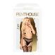 Колготки з імітацією панчох на підв'язках Penthouse - Special Extra Black S/L