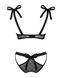 Полупрозрачный эротический комплект Obsessive Obsessivia 2pcs set black S/M, бюстгальтер и трусики,