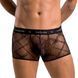 Мужские прозрачные боксеры Passion 032 SHORT JAMES L/XL Black, сетка