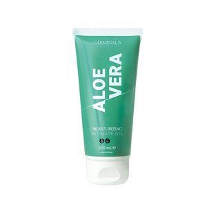 Гель лубрикант на водной основе Driminals Aloe Vera 100 мл SO8061 фото