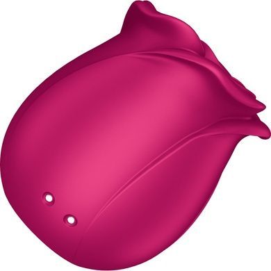 Вакуумный стимулятор Satisfyer Pro 2 Classic Blossom SO8775 фото