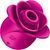 Кліторальний стимулятор Satisfyer Pro 2 Modern Blossom SO8776 фото