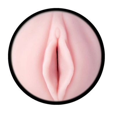 Мастурбатор-вагина Fleshlight Pink Lady Destroya SO6141 фото