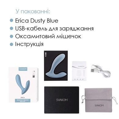 Смарт-вібратор в трусики Svakom Erica Dusty Blue SO8978 фото