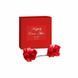 Подарочный набор Bijoux Indiscrets Happily Ever After Red SO8718 фото 5