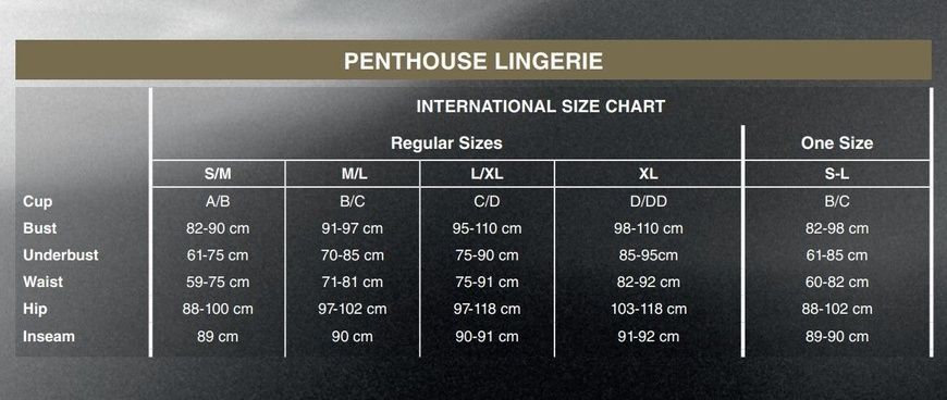 Спокусливі жіночі трусики-стрінги з подвійними резиночками Penthouse Classified M/L чорні