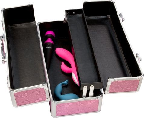 Кейс для хранения секс-игрушек BMS Factory Large Case Pink SO8900 фото
