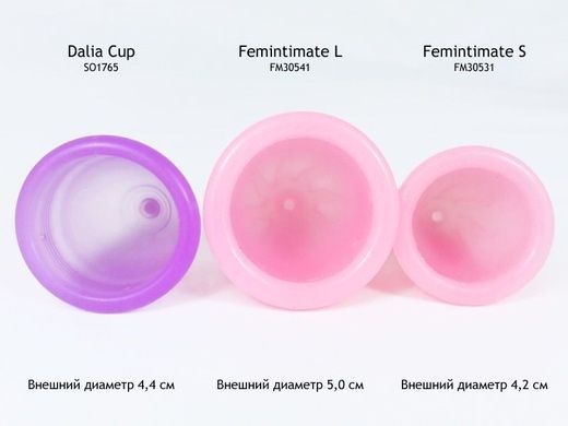 Менструальная чаша Femintimate Eve Cup с душем 3,2 см FM531 фото