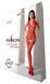 Бодістокінг з плетінням на животику Passion BS100 One Size, red, декоративний шов, з доступом