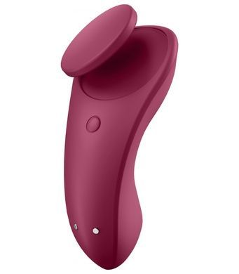 Набір Satisfyer Partner Box 1 (Double Joy+Sexy Secret) SO7143 фото