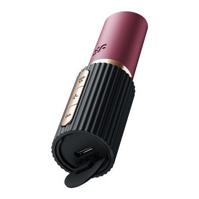 Вакуумный стимулятор Satisfyer Pro 2 Kiss SX2166 фото