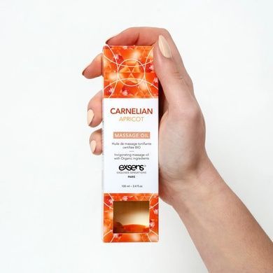 Масажна олія EXSENS Carnelian Apricot 100мл SO2378 фото