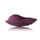 Вібратор у трусики Rocks Off Knickerbocker Glory Burgundy SO6293 фото 2