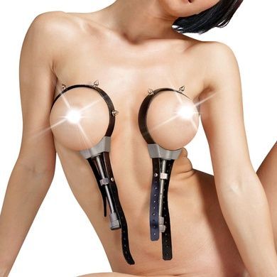 Затискачі з шипами для грудей Art of Sex SO8302 фото
