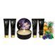 Подарочный набор Shunga Geishas Secrets Exotic Fruits SO7823 фото 2